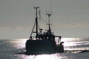 Fisker igen afsløret med kvart ton ulovlig fisk.  Arkivfoto: GVejen