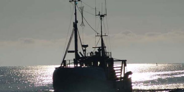 Fisker igen afsløret med kvart ton ulovlig fisk.  Arkivfoto: GVejen