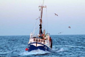 EU-Parlamentet støtter pilotprojekt om udsmid af fisk i Skagerrak.  Arkivfoto: GVejen