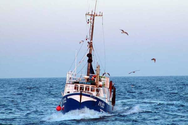 Read more about the article EU-Parlamentet støtter pilotprojekt om udsmid af fisk i Skagerrak