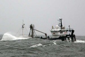 Weekend stoppet for fiskeri efter sild og brisling i Skagerrak og Kattegat er ophørt.  Foto: HHansen
