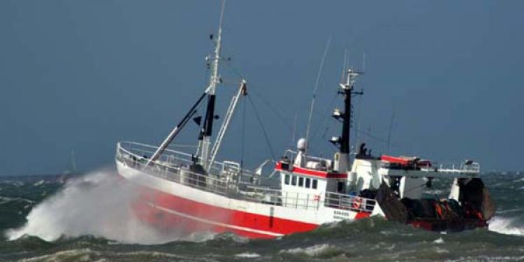 Danmarks Fiskeriforening ser positivt på udsættelsen af discard-forbuddet.  Arkivfoto: HHansen