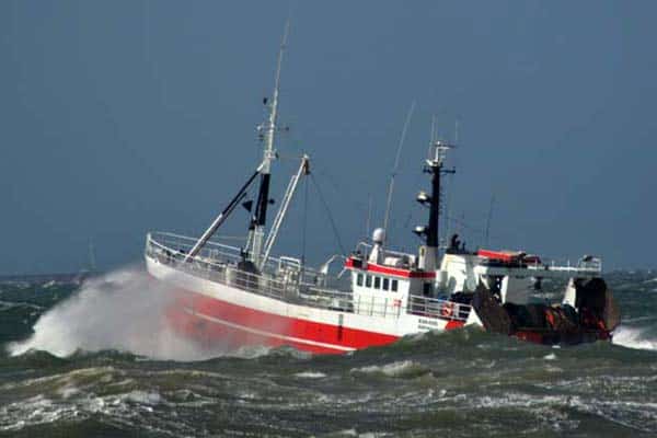 Read more about the article Danmarks Fiskeriforening ser positivt på udsættelsen af discard-forbuddet