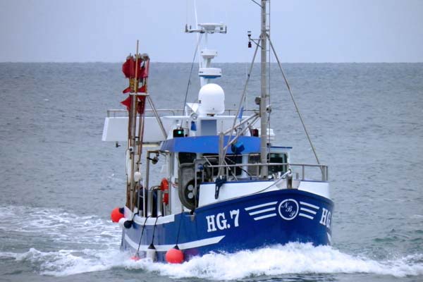 Read more about the article Ny kystfisker-ordning bryder med gældende FKA aftale