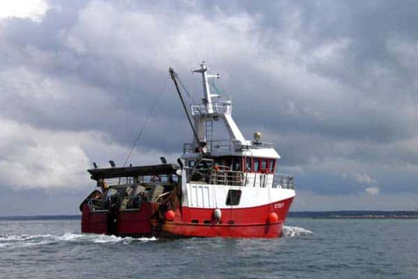 Read more about the article Norge slås også for at få nye og flere fiskere til erhvervet.