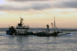 Fiskeriets Bruttoindtjening 2013.Tobisfiskeriet bidrog med 460 mio. kr. svarende til en forøgelse på 366 %