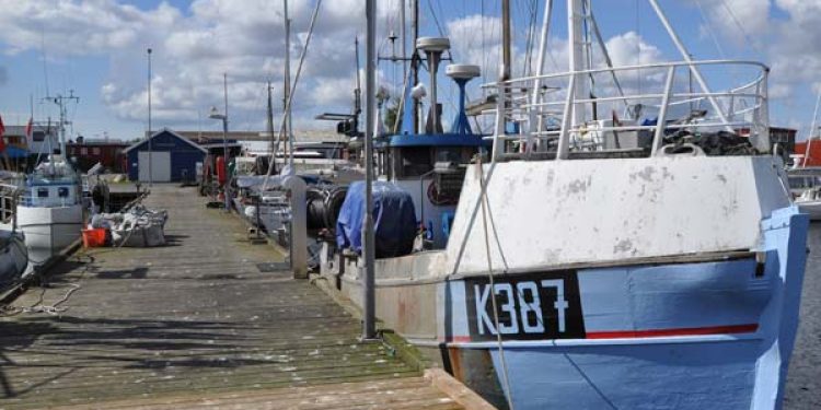 Danmarks havstrategi. Arkivfoto: Nordhavnen Østerbro København Fotograf: FiskerForum