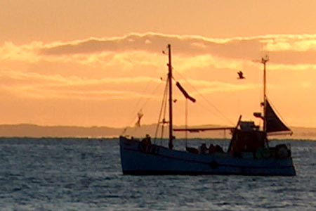 Read more about the article Gjerskov står stejt på at EU støttemilliarder går til bæredygtigt fiskeri