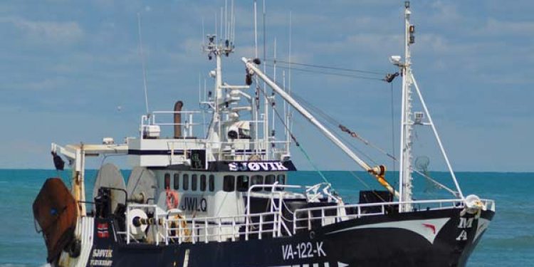 Norske fartøjer landede i 2011 fisk til en samlet værdi af 16 mia. Nkr.  Foto: Sjøvik  Fotograf: H.Hansen