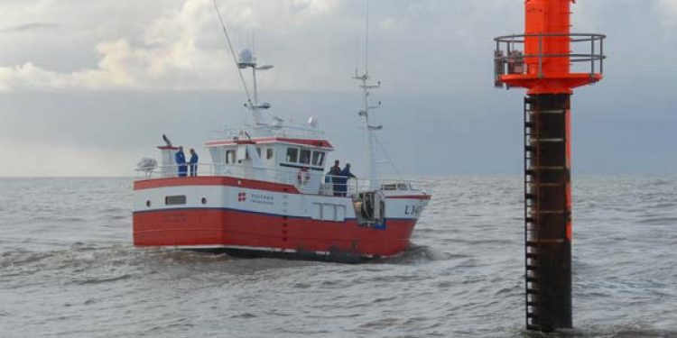 Omkring 25 fartøjer er hjemmehørende i Thorsminde  Arkivfoto: FiskerForum