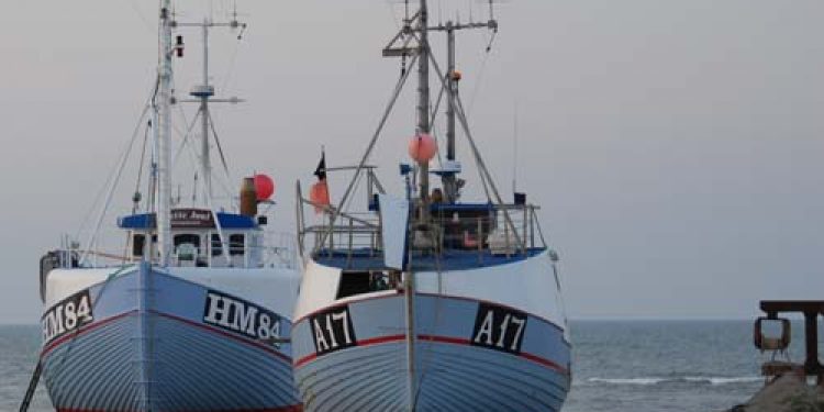 NaturErhvervstyrelsen bevilger 10 mio. kroner til fiskepakhus .  Foto: ThorupStrand - FiskerForum