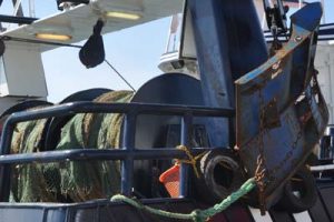 Nye undersøgelser tyder på at bundtrawling kan være godt for fiskene.  Arkivfoto: Trawl - FiskerForum
