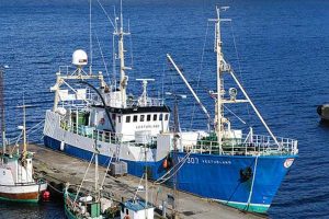 Den islandske fiskerflåde har faldende indtjening i 2013.  arkivfoto: Islandsk fartøj - Skipini
