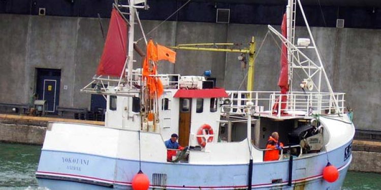 Fiskerne forbitret over administrativt bøvl.  Arkivfoto: Landing - PmaR