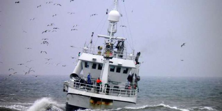 Det Norske Fiskeridirektorat øger fokus på discard.  Arkivfoto: Lilleheden
