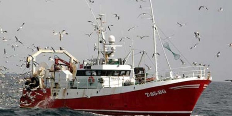 Fiskeridirektøren har besluttet å øke torskekvotene   Arkivfoto: HHansen