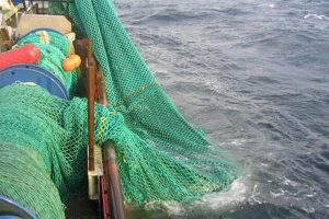 Forsøgsfiskeri på den vigtige Doggerbanke  Arkivfoto: Tobisfiskeri FiskerForum