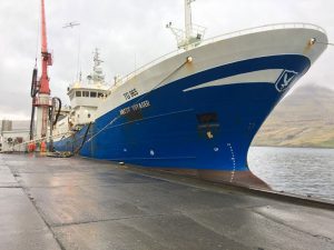 Den 70 meter store Arctic Voyager landede i sidste uge en last på 1.700 tons blåhvilling til Havsbrún foto: Havsbrun