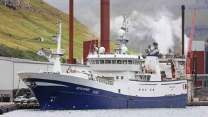 På det seneste er der gjort gode fangster af blåhvilling ud for Færøerne, som er landet i Fuglefjord. I sidste uge har trawlerne **Arctic Voyager** og **Jupiter** haft særdeles succesfulde ture og leveret store mængder blåhvilling til Havsbrún i Fuglefjord. foto: KiranJ