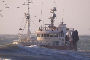 Fiskeriet kommer til Aalborg med »Hawfriske Hanstholm-Fisk«. Foto: »Astoria« - PmrA