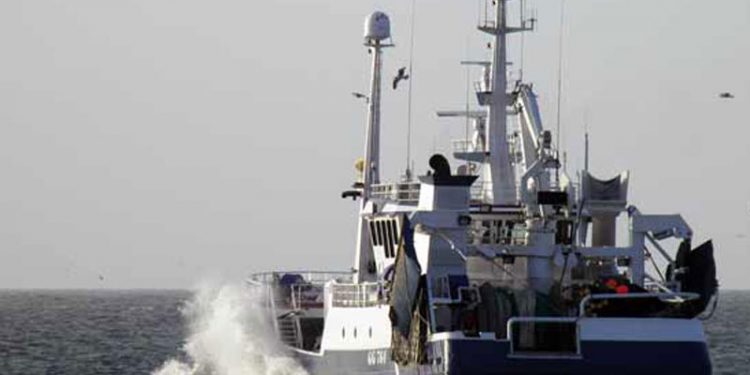 Norsk og dansk Rigsrevision har haft blikket rettet mod Fiskeriforvaltningen  Arkivfoto: Astrid - PmrA
