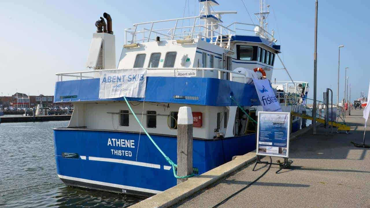 Read more about the article Kampagnen »jeg fisker med vilje« sender »Athene« rundt i Danmark