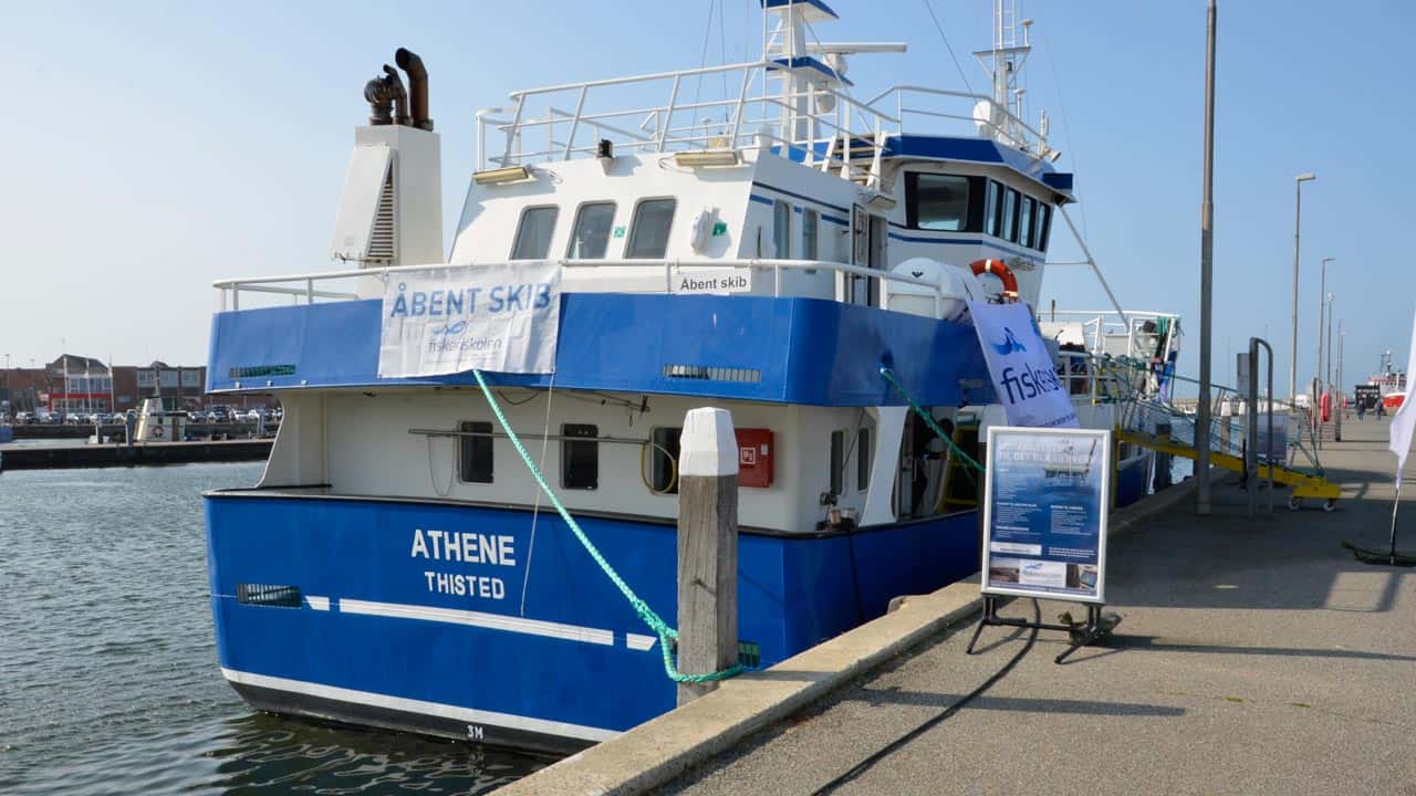 Read more about the article Uddannelsesskibet »Athene« gæster Hvide Sande Havn med »Åbent Skib«