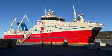 Efter et historisk rekordår i 2024 er Ocean Prawns i Nexø tilbage på et normalt og tilfredsstillende niveau med et overskud på 42 millioner kroner efter skat i 2025. Resultatet lander solidt inden for forventningerne, selvom tårnhøje canadiske toldsatser og markedsuro har udfordret kerneforretningen på Nordatlanten. foto: Canadian Seafood