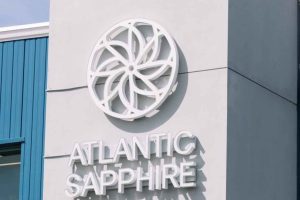 Atlantic Sapphire slagtede 1504 ton laks i første kvartal, hvilket er en klar fremgang fra 1183 ton i fjerde kvartal sidste år. Det fremgår af en opdatering fra selskabet mandag. foto: Atlantic Sapphire