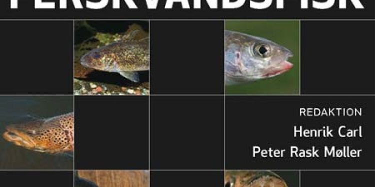 Ny bog kortlægger Danmarks ferskvandsfisk  Foto: Statens Naturhistoriske Museum