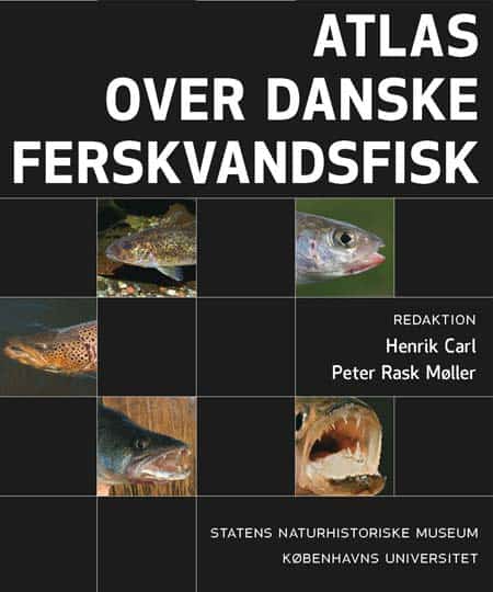 Read more about the article Ny bog kortlægger Danmarks ferskvandsfisk
