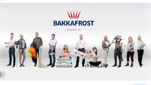 Bakkafrost præsenterer stærkt resultat og udbetaler pænt udbytte foto Bakkafrost