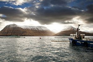 Lakseopdrætsanlæg Færøerne
