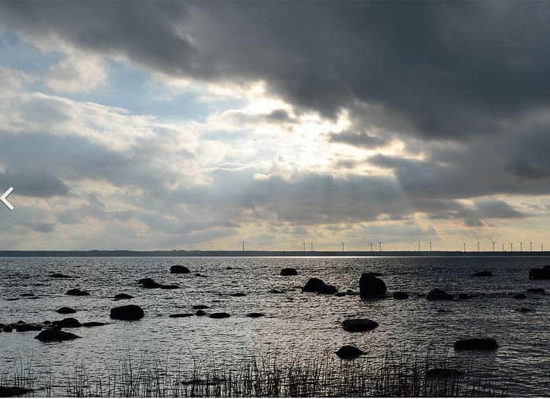 Read more about the article Forskere var samlet i Gdansk for at redde Østersøen