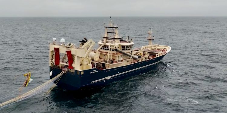 Islandsk trawler er startet op med fiskeriet efter blåhvilling foto: Bardi - Sildarvinnslan HF