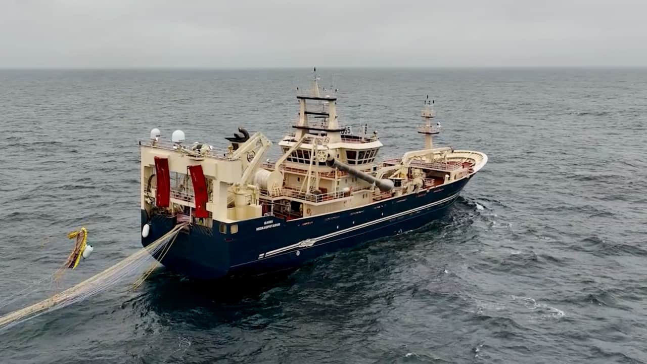 Read more about the article Islandsk trawler rigget om til fiskeri efter blåhvilling