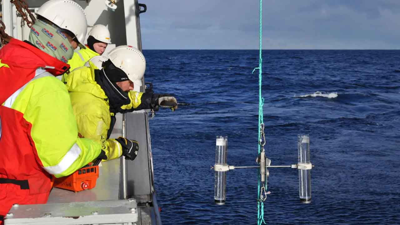 Read more about the article Barentshavet presses af klimaændringer i Arktis’ sårbare økosystem