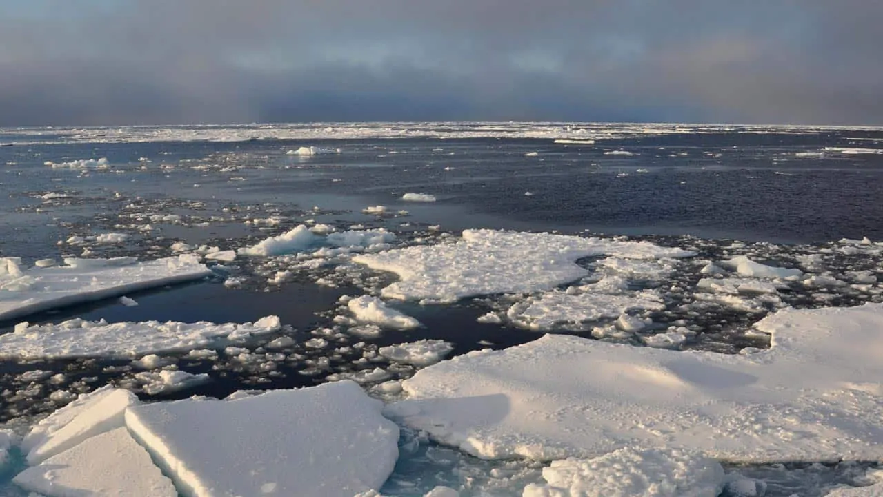 Read more about the article Russisk fiskefartøj forlist i Barentshavet