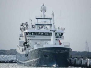 **Beinur** lander 1.200 tons makrel i Tvøroyri hos Varðan Pelagic. Makrellen har en gennemsnitsvægt på 450-460 gram, hvilket vidner om en god kvalitet. Efter losning sejler skibet direkte tilbage på fiskeri. foto: Fiskur-C. Jensen