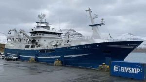 I Tvøroyri landede den danske trawler **Beinur** fra Hirtshals i denne uge 170 tons sild, som de havde fisket i internationalt farvand.  foto: Fiskur-FS