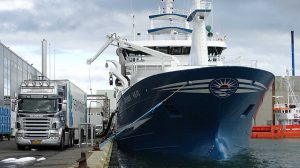 Nyt fra Færøerne: Pæne landinger af blåhvilling til FF Skagen