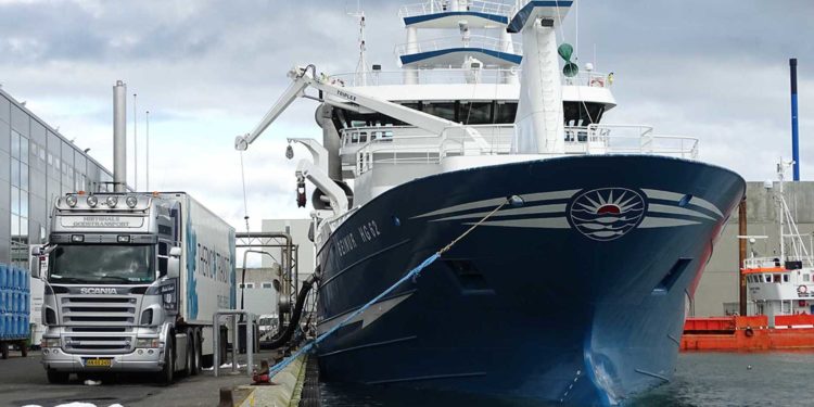 Nyt fra Færøerne: Pæne landinger af blåhvilling til FF Skagen