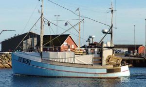 HavFrisk Fisker fra Odden Havn køber ny båd.  Arkivfoto: Bente SØ 159 fra Sønderborg - G.Vejen