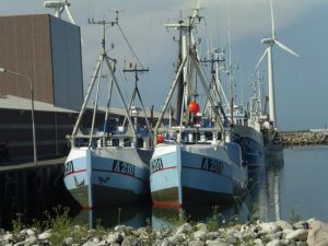 Bønnerup Strand Havn - Foto: FiskerForum