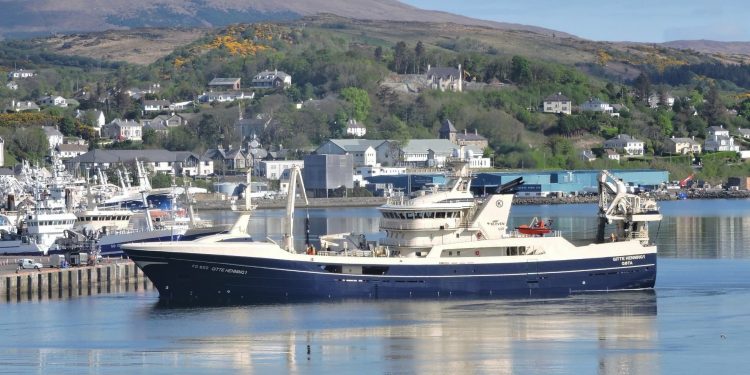 den færøske skipper Arngrím Hansen fortæller, at man allerede sidst i april måned havde en landing i den irske fiskerihavn Killybergs i Donegal, på 3.242 tons blåhvilling