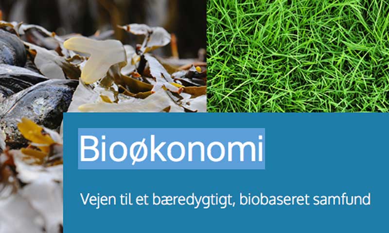 Read more about the article Muslingeopdræt er en gevinst for væksten og miljøet