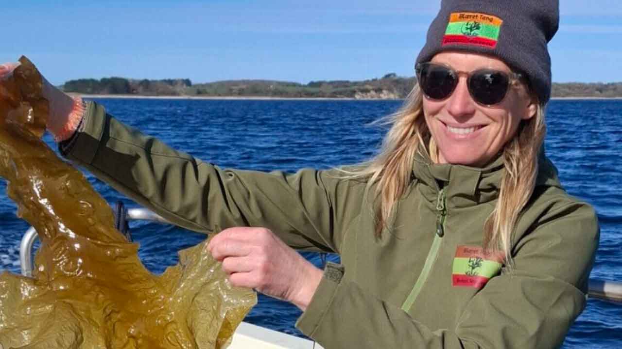 Read more about the article Tang skal hverken vandes, luges eller gødes
