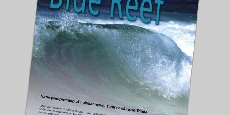 Stenrev Trindel ved Læsø får EU's Natura 2000 Award.  Ill: Blue Reef rapport