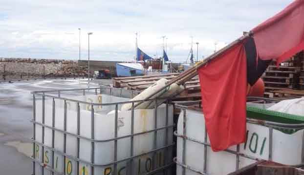 Read more about the article Politikerne vil lukke livet ud af kysten