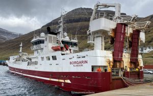 I Kollefjord landede trawleren **Borgarin** ligeledes 1.000 tons sild, men til Faroe Pelagic i Kollefjord istedet. foto: FS 